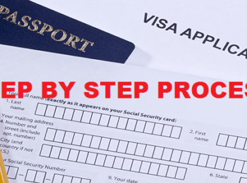 How should one choose the immigration consultancy for a visa?