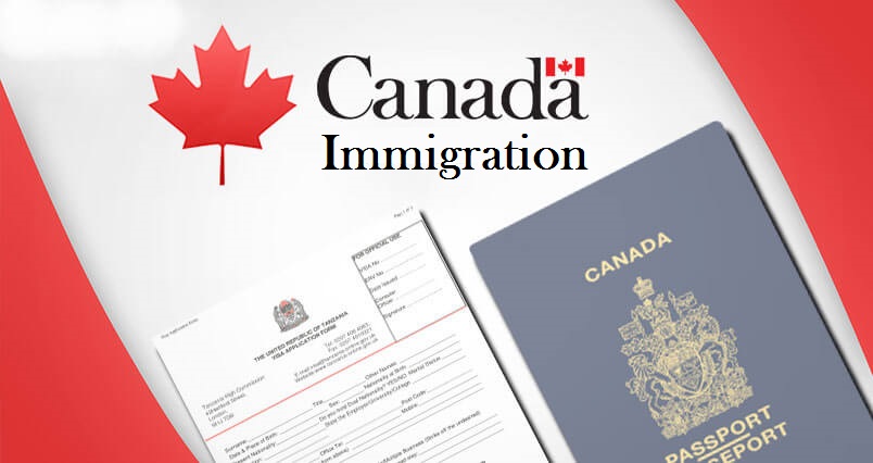 Who are the best immigration consultants for Canada?