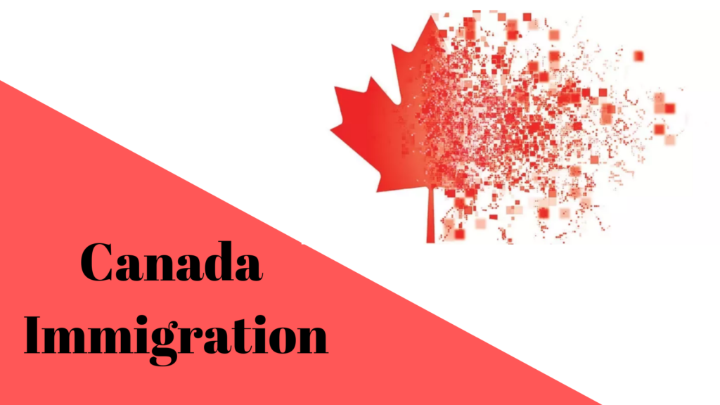 Which is the best immigration consultancy in India for Canada