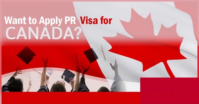 Why do people hire an immigration consultant when applying to Canada can be done on your own?