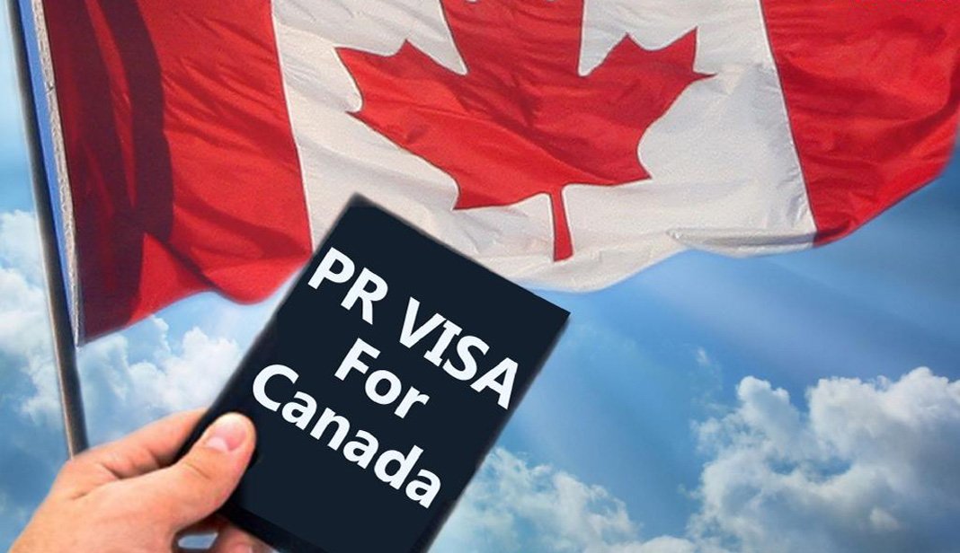 Which is the best immigration consultancy in India for Canada?